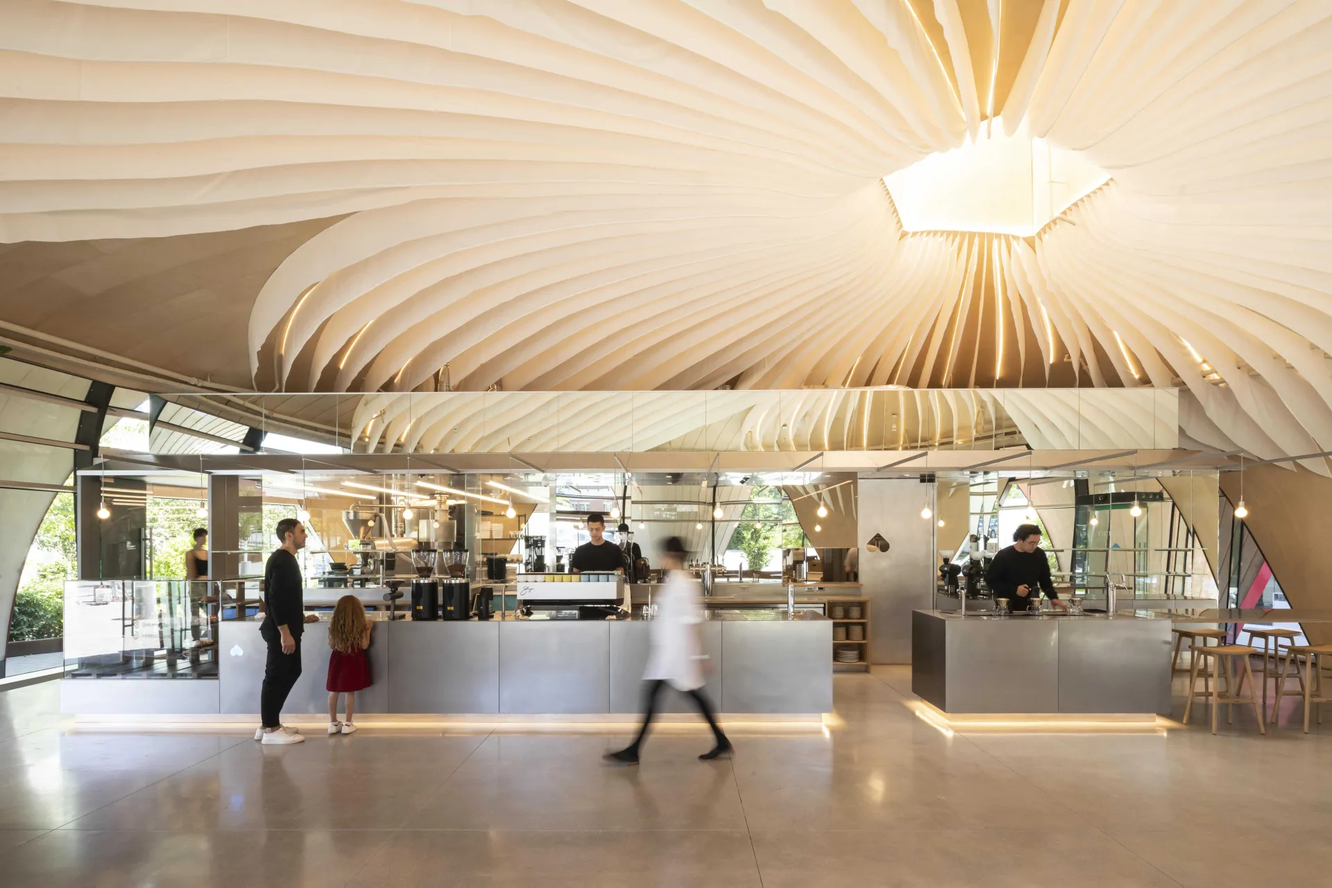 Gnw nemesis coffee curtain wall wood window raico thermhi INTERIOR min