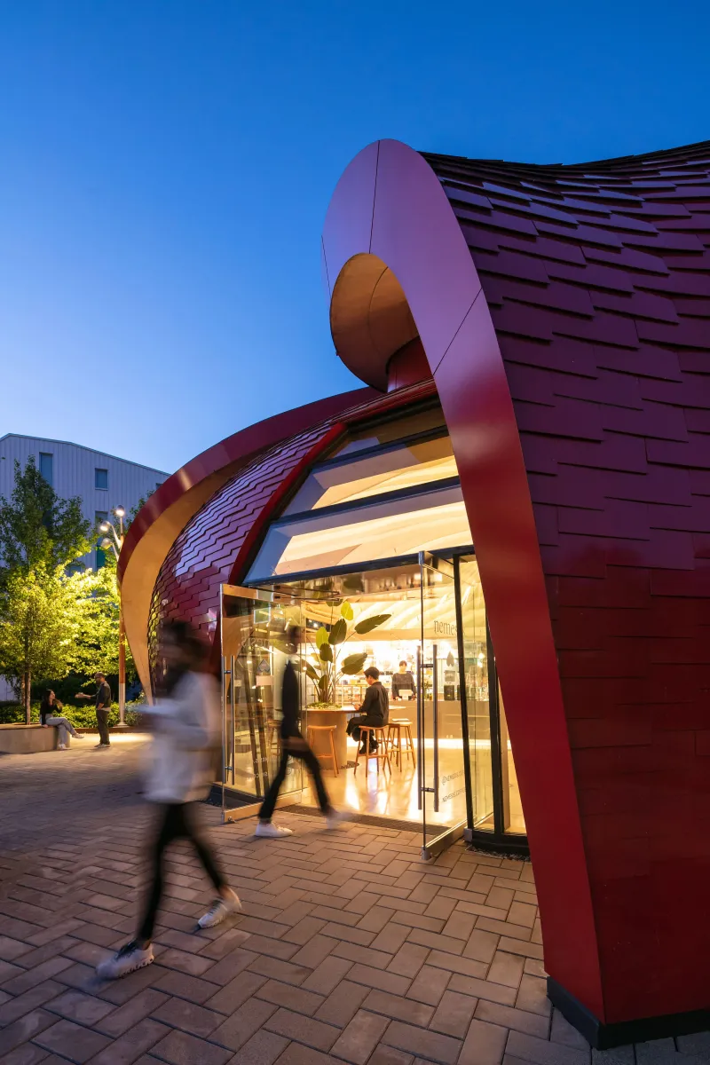 Gnw nemesis coffee curtain wall wood window raico thermhi4 min