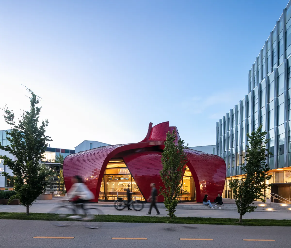 Gnw nemesis coffee curtain wall wood window raico thermhi 3