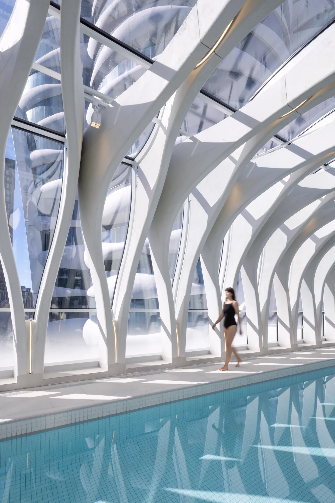 The butterfly vancouver raico thermai curtainwall aluminum window 1