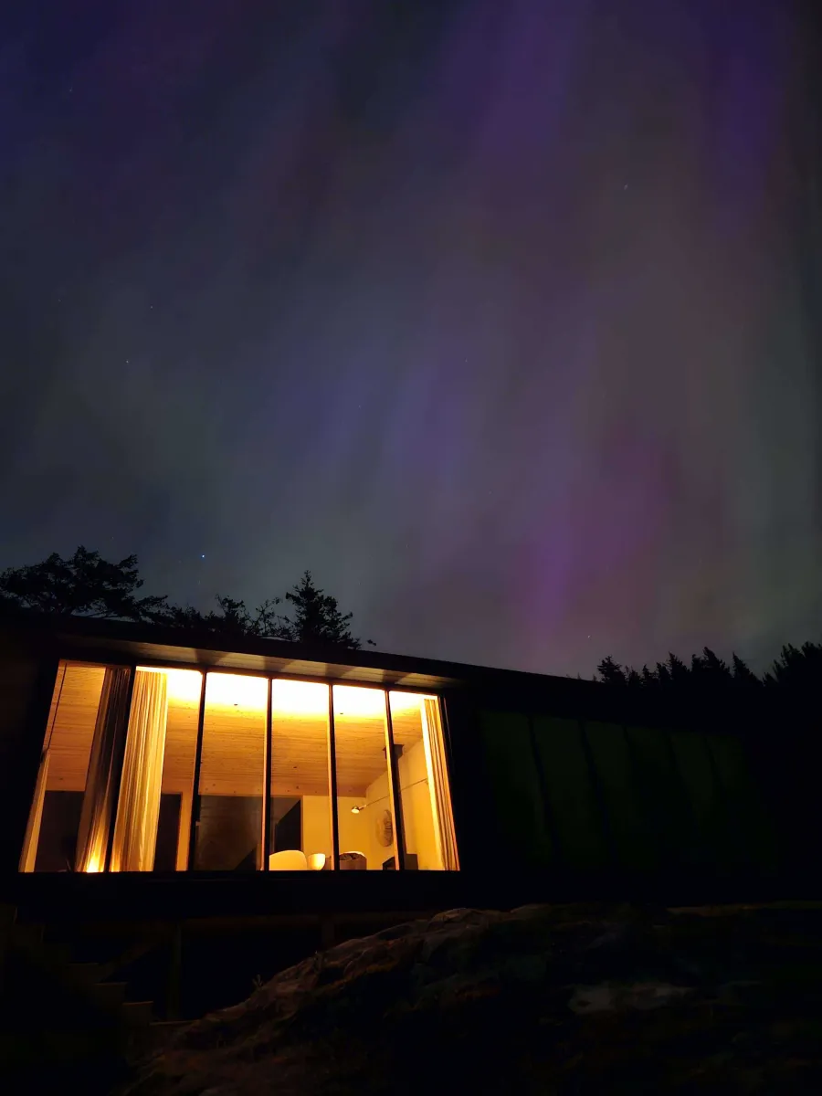 462546694 2325473634473301 9026980787214558965 n