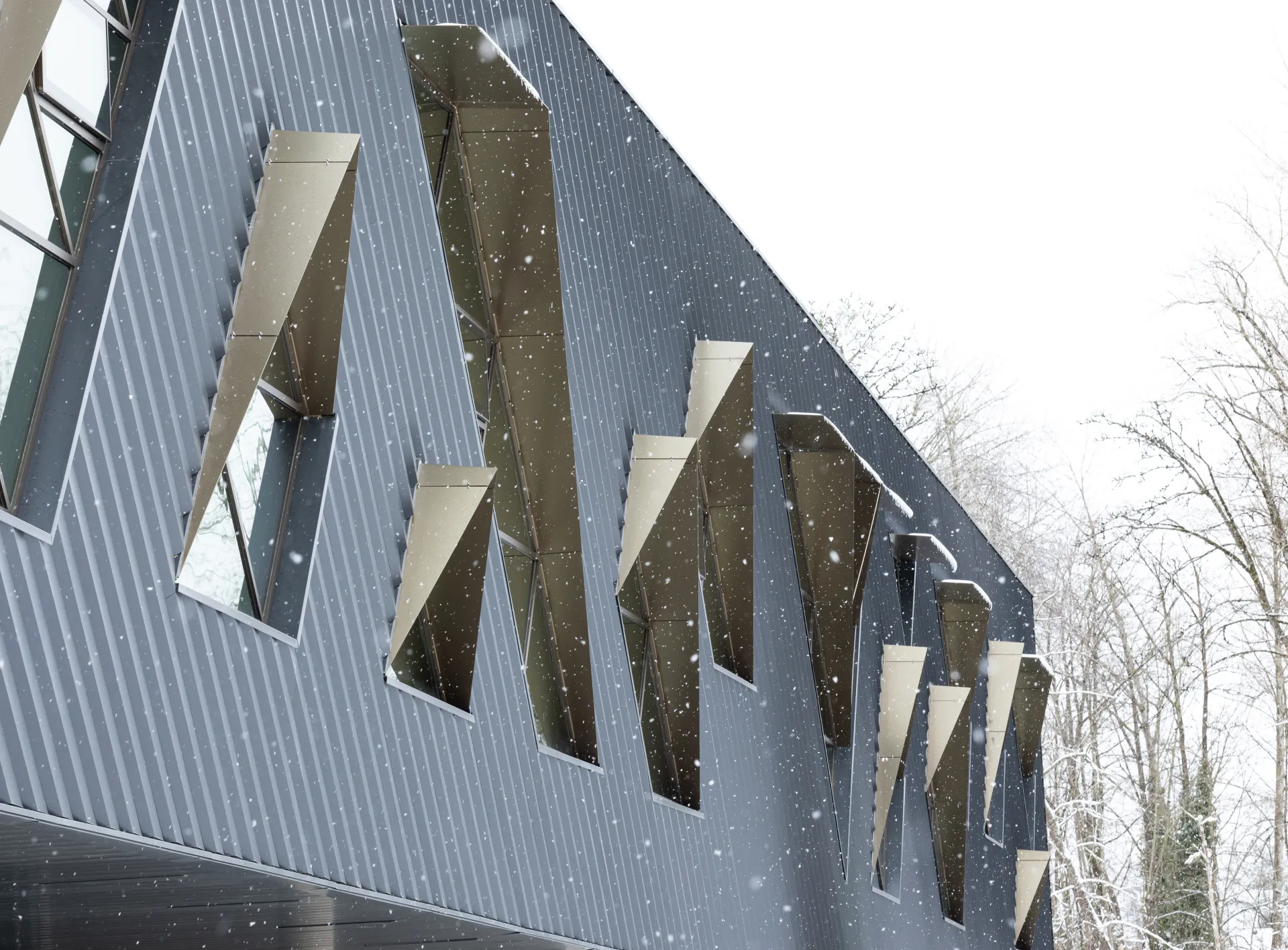 Clayton community center surrey vancouver curtain wall passivehouse aluminum window raico thermav 6