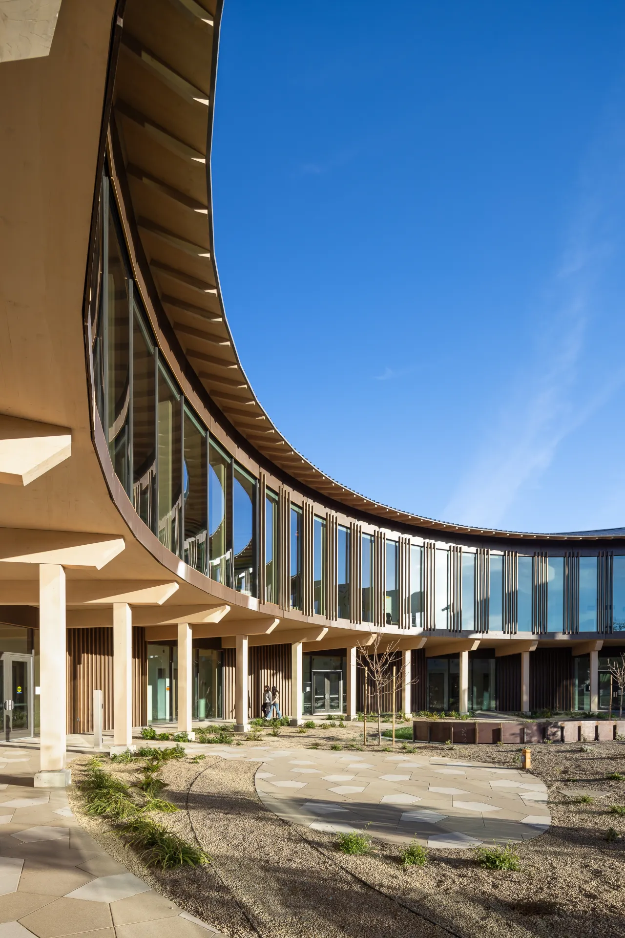 Ohana montage health california wood curtain wall aluminum window high span 3