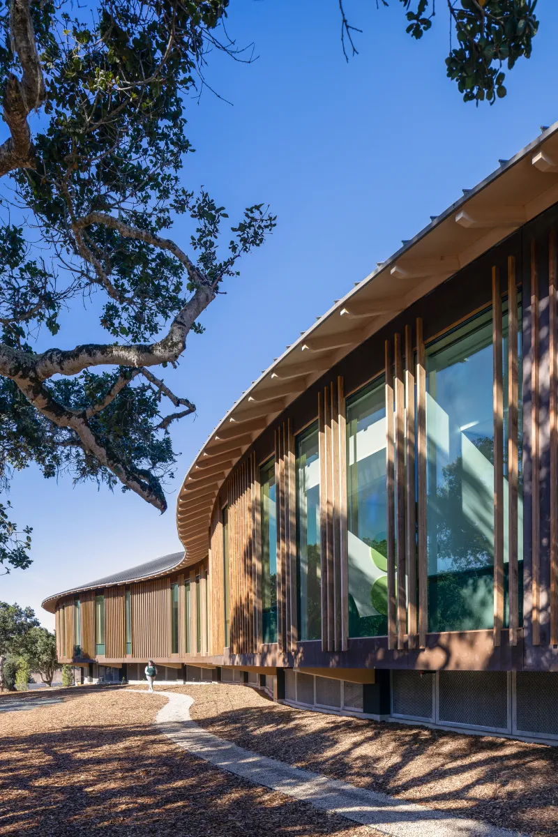 Ohana montage health california wood curtain wall aluminum window high span 2